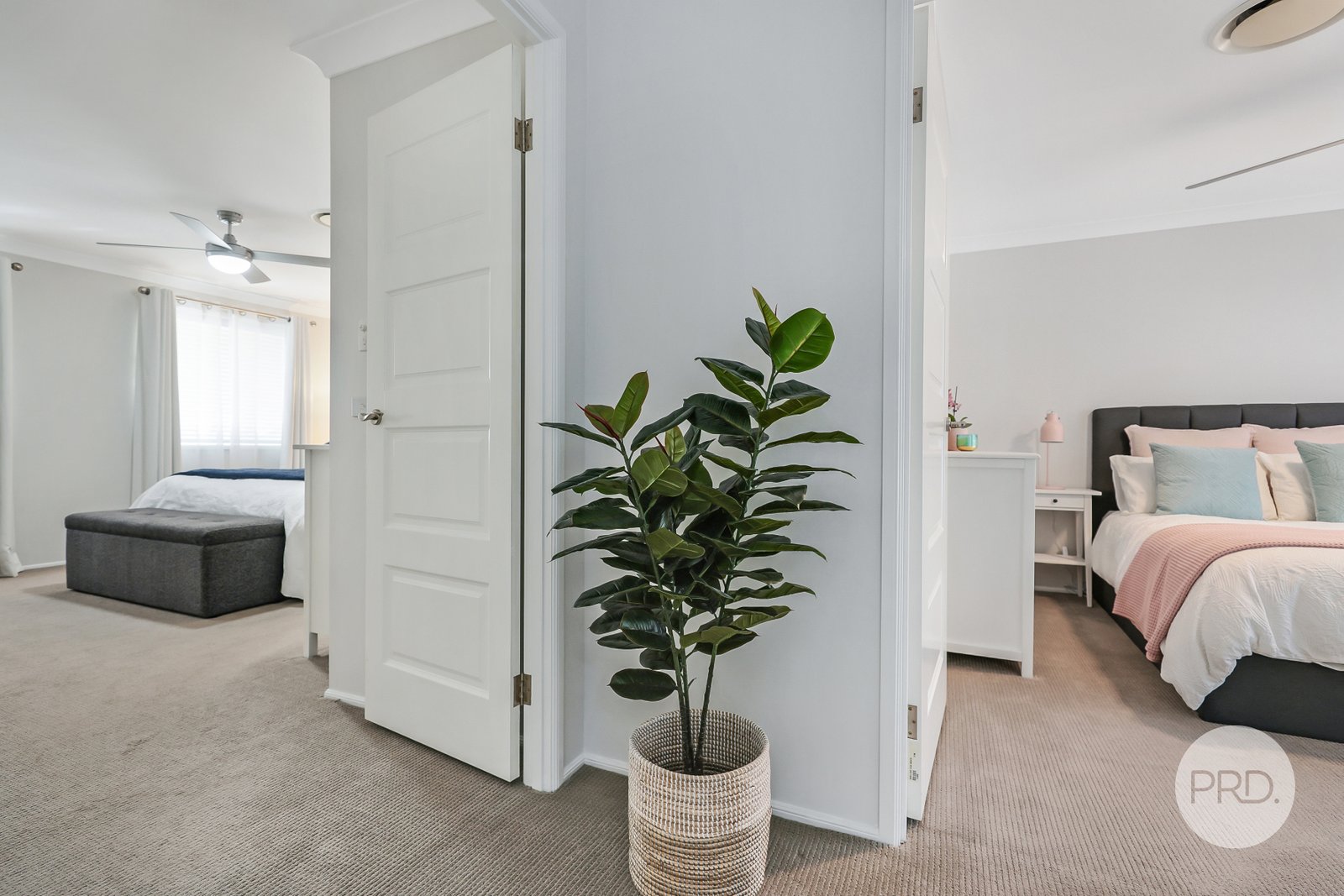 17 Pinehurst Avenue GLENMORE PARK 10