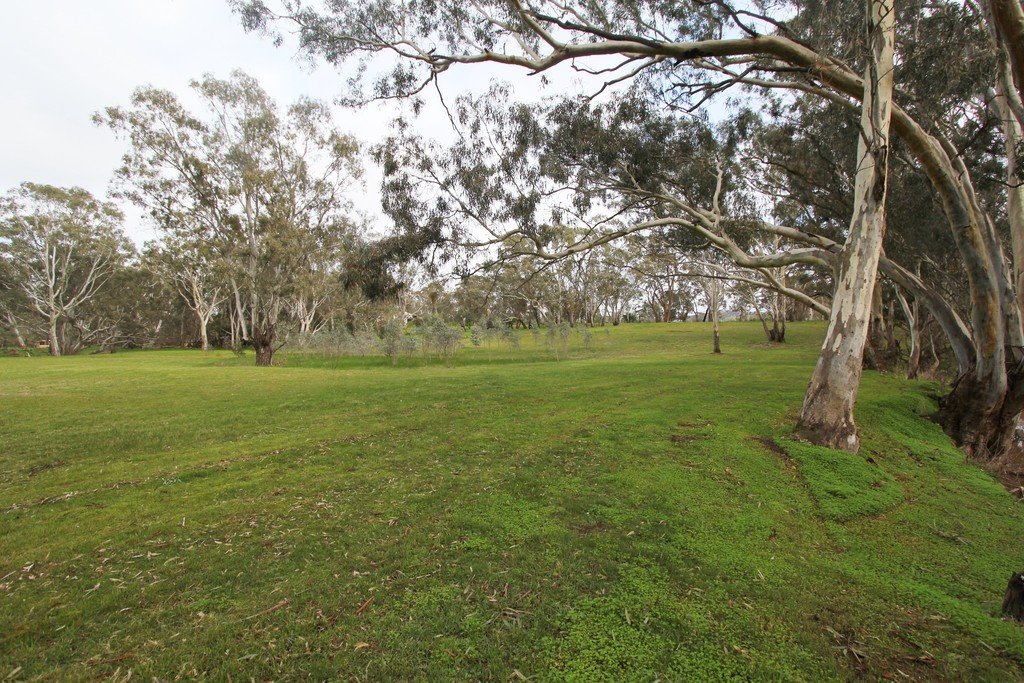 17 Rifle Range Road LEXTON 2