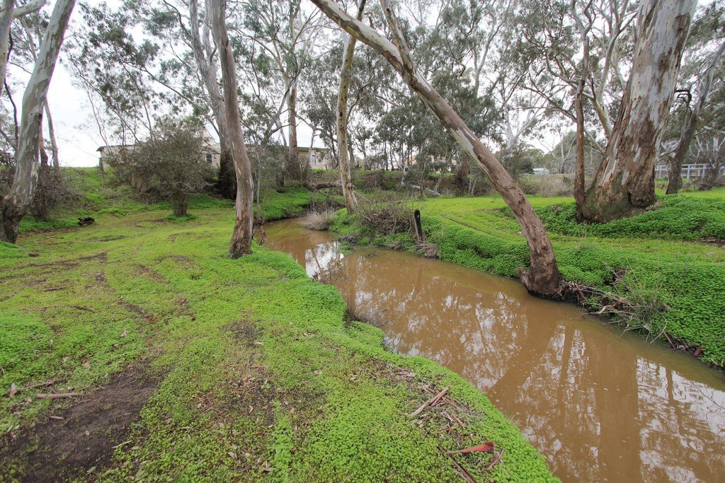 17 Rifle Range Road LEXTON 4