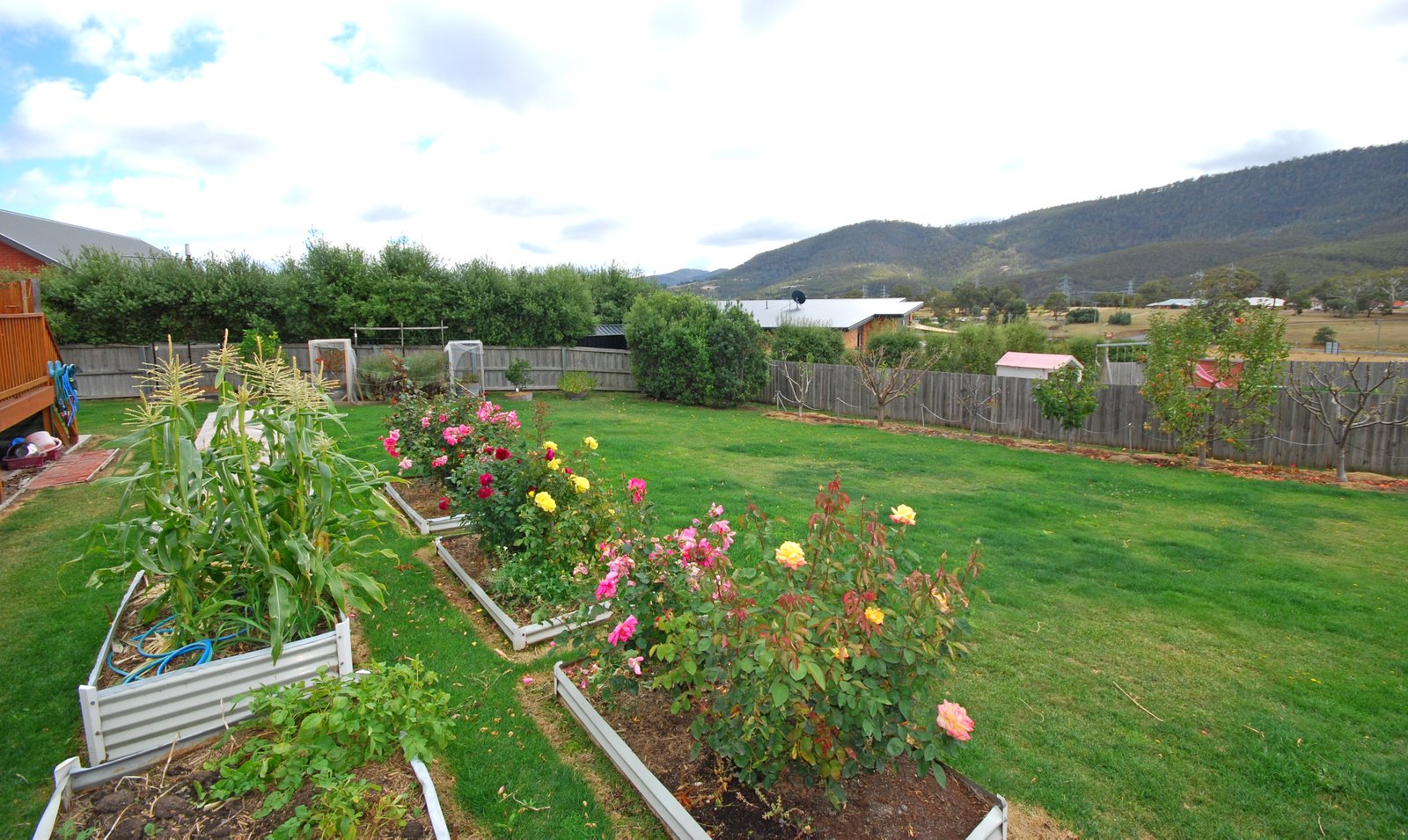 17 Sadri Court NEW NORFOLK 5
