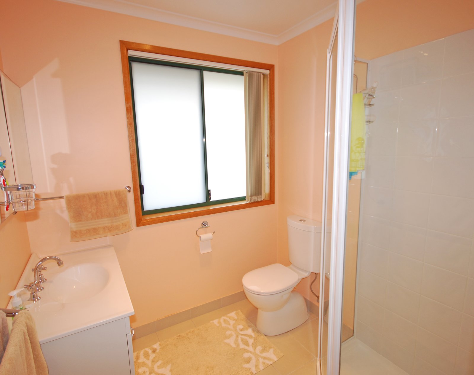 17 Sadri Court NEW NORFOLK 6