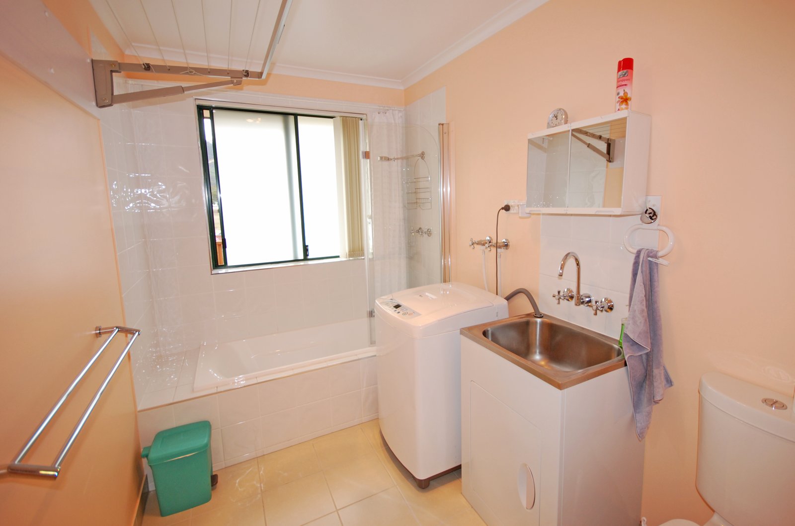 17 Sadri Court NEW NORFOLK 9