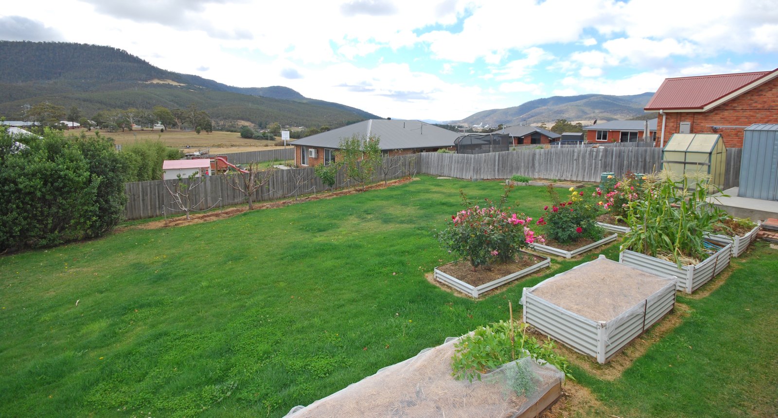 17 Sadri Court NEW NORFOLK 14