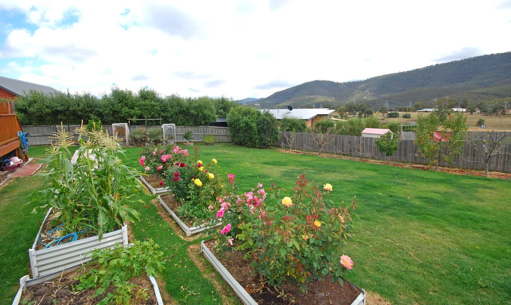 17 Sadri Court NEW NORFOLK 5
