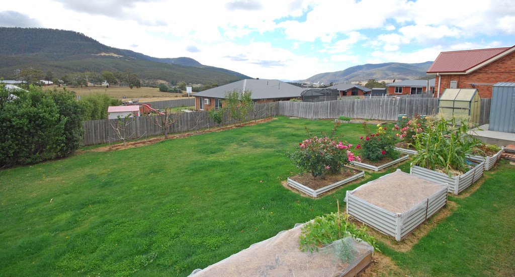 17 Sadri Court NEW NORFOLK 15