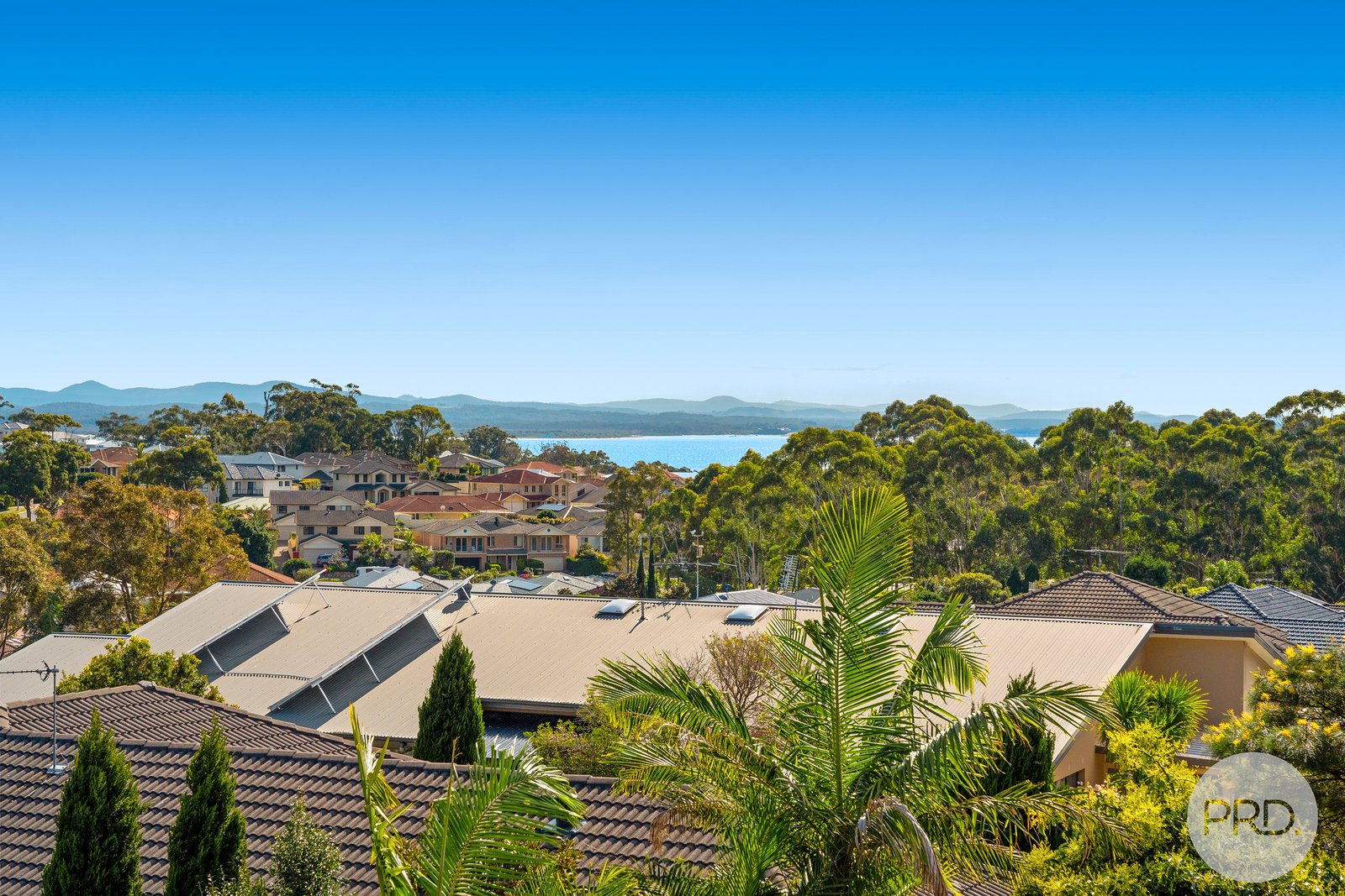 17 Saratoga Avenue CORLETTE 9