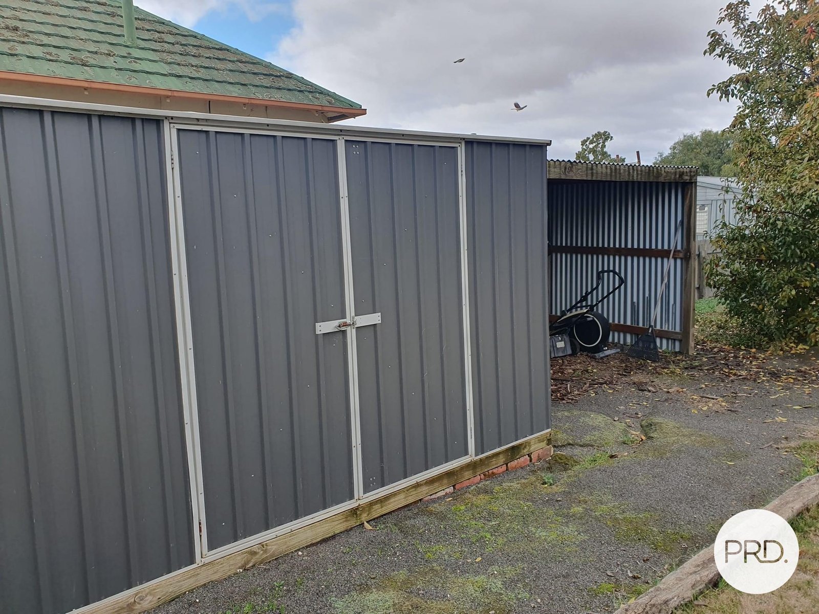 17 Sharrock Street MURRAYVILLE 10