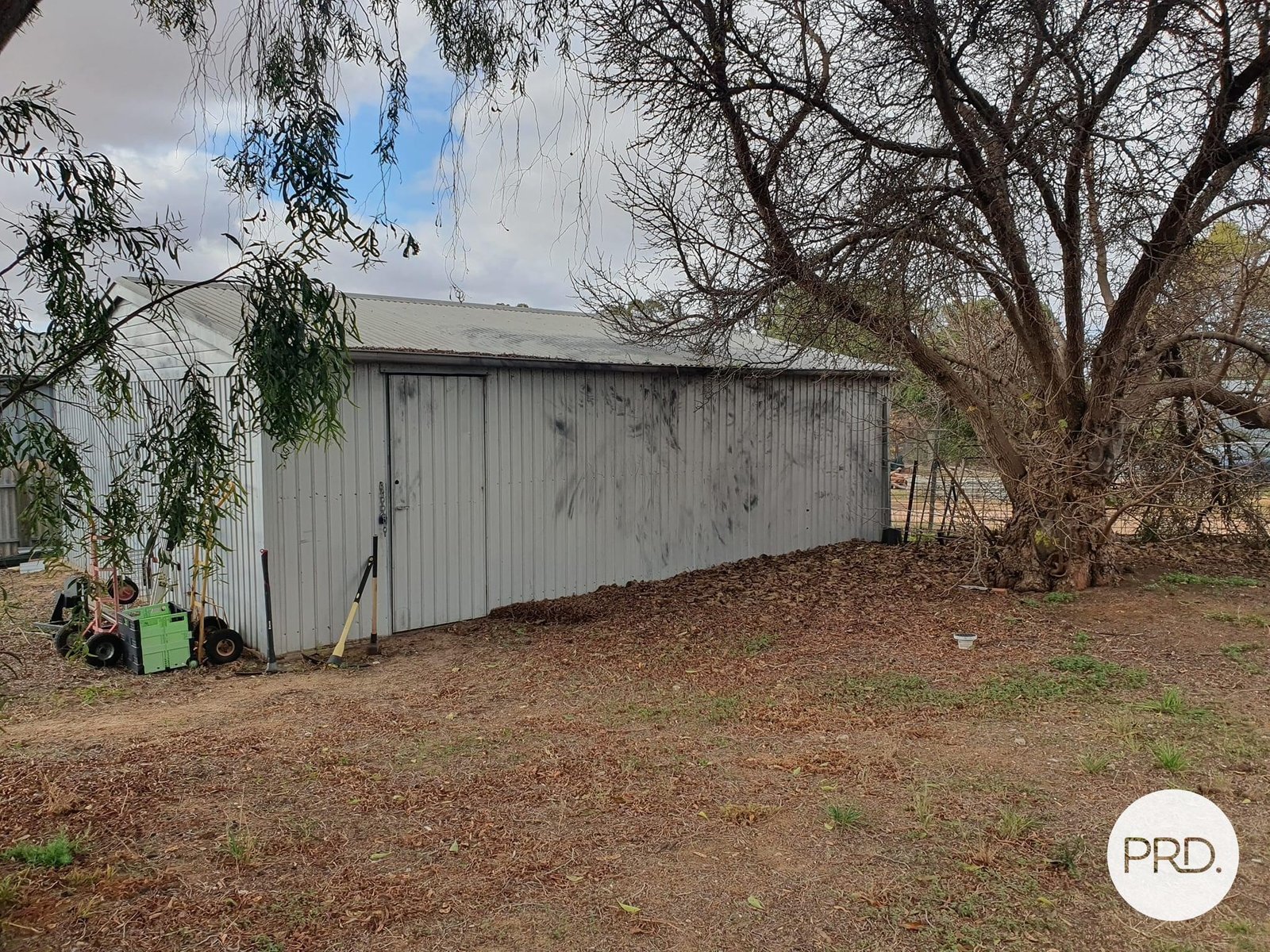 17 Sharrock Street MURRAYVILLE 11