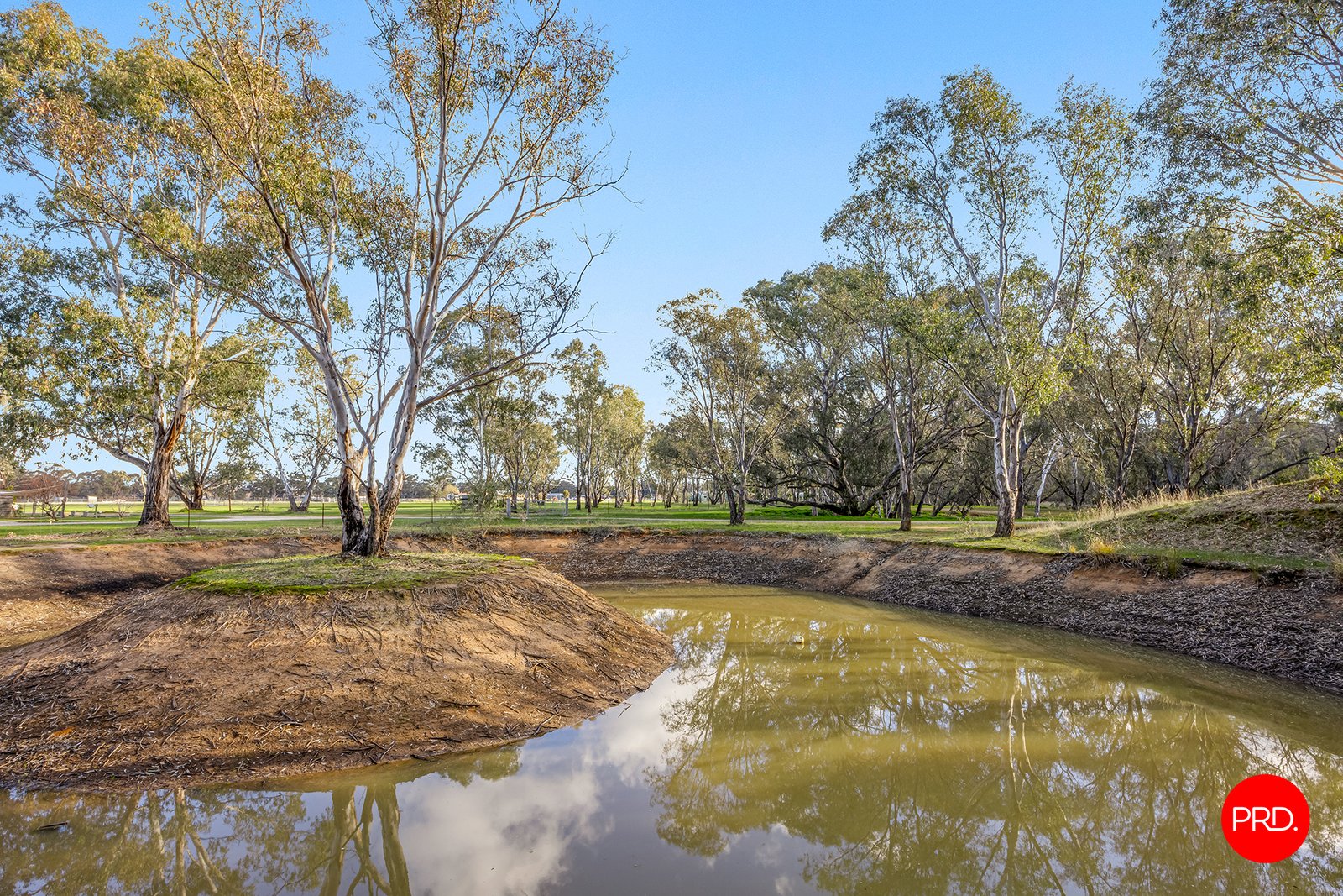 17 Shaw Court BAGSHOT 29