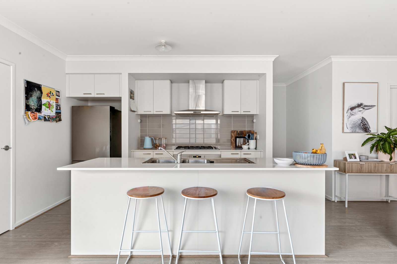 Gallery: 17 Snedden Street