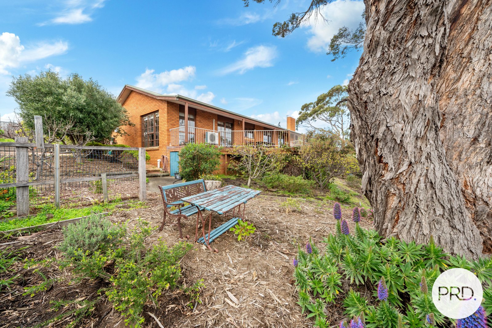 17 Toongabbie Street MIDWAY POINT 7