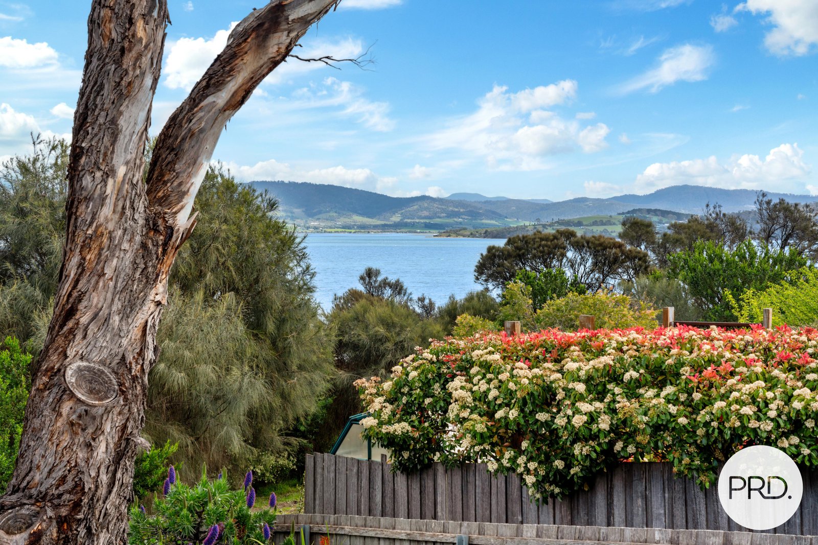 17 Toongabbie Street MIDWAY POINT 10