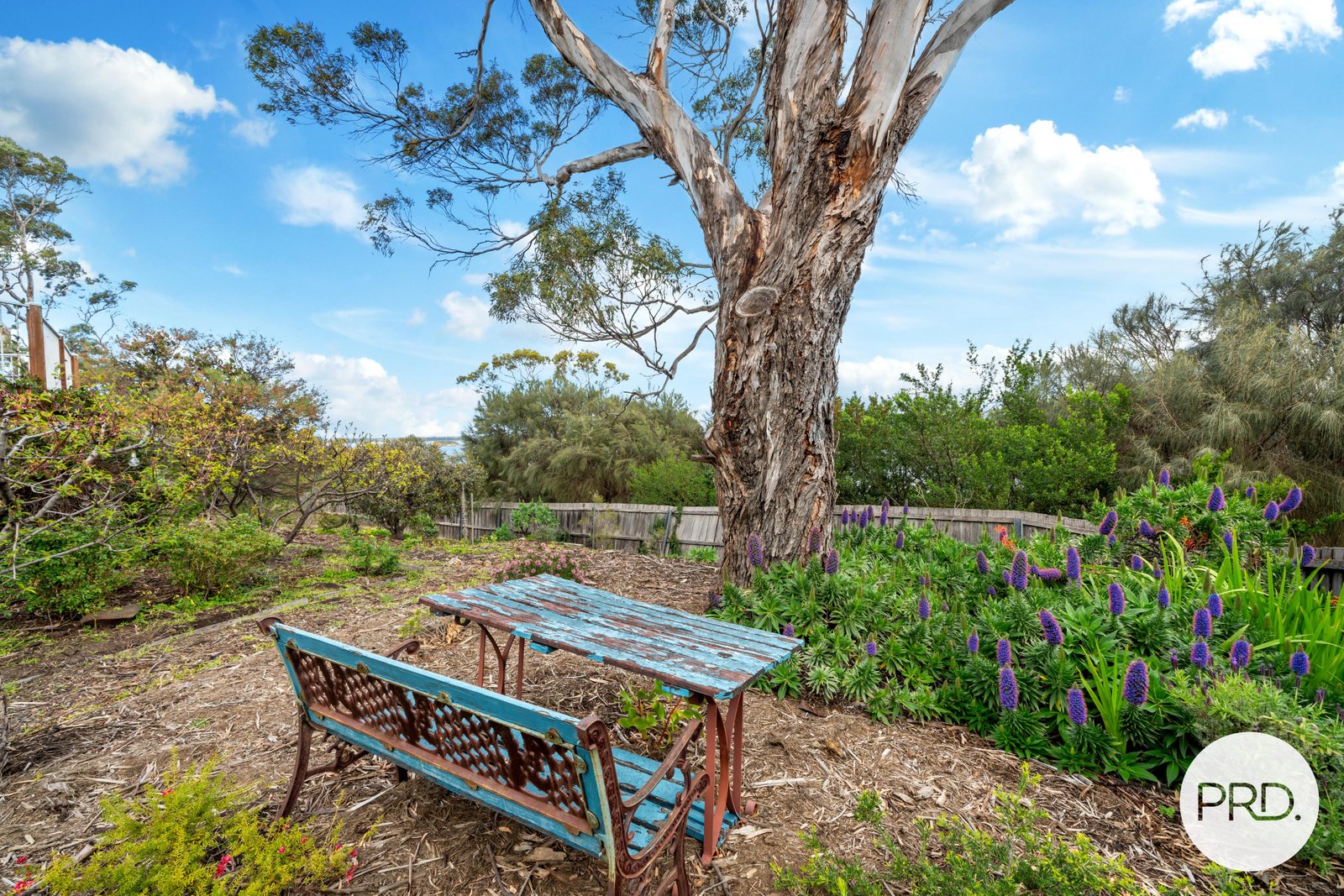 17 Toongabbie Street MIDWAY POINT 28