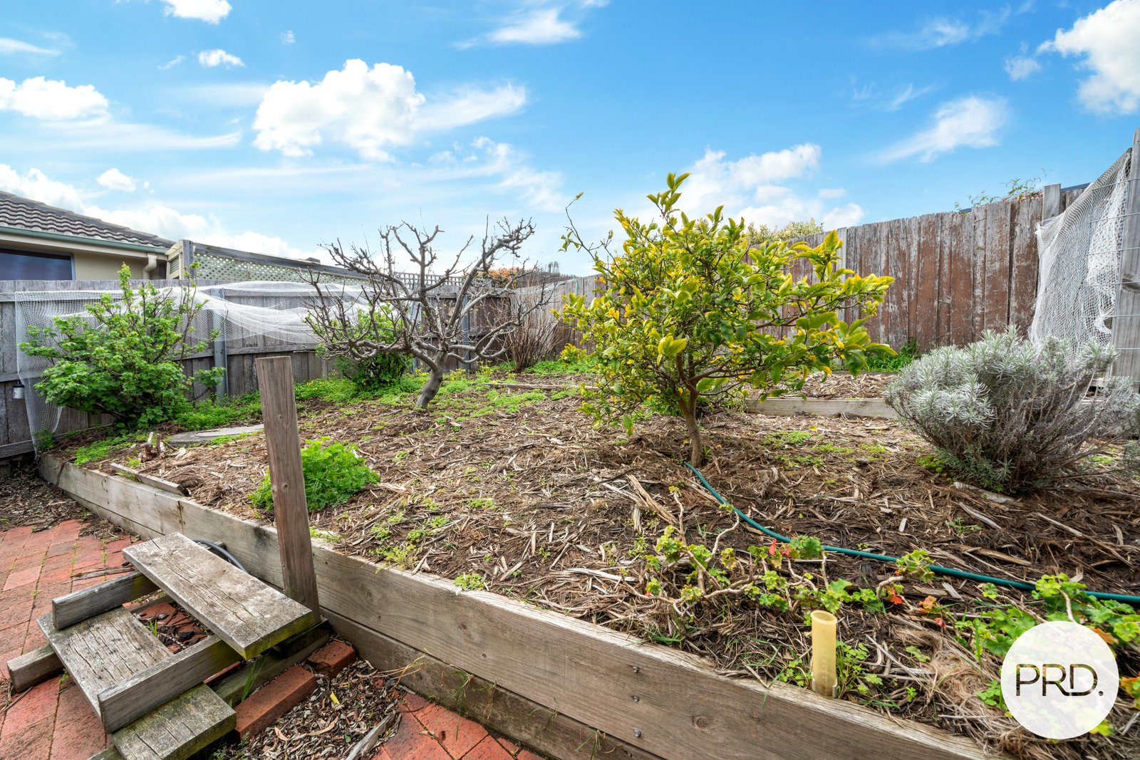 17 Toongabbie Street MIDWAY POINT 29