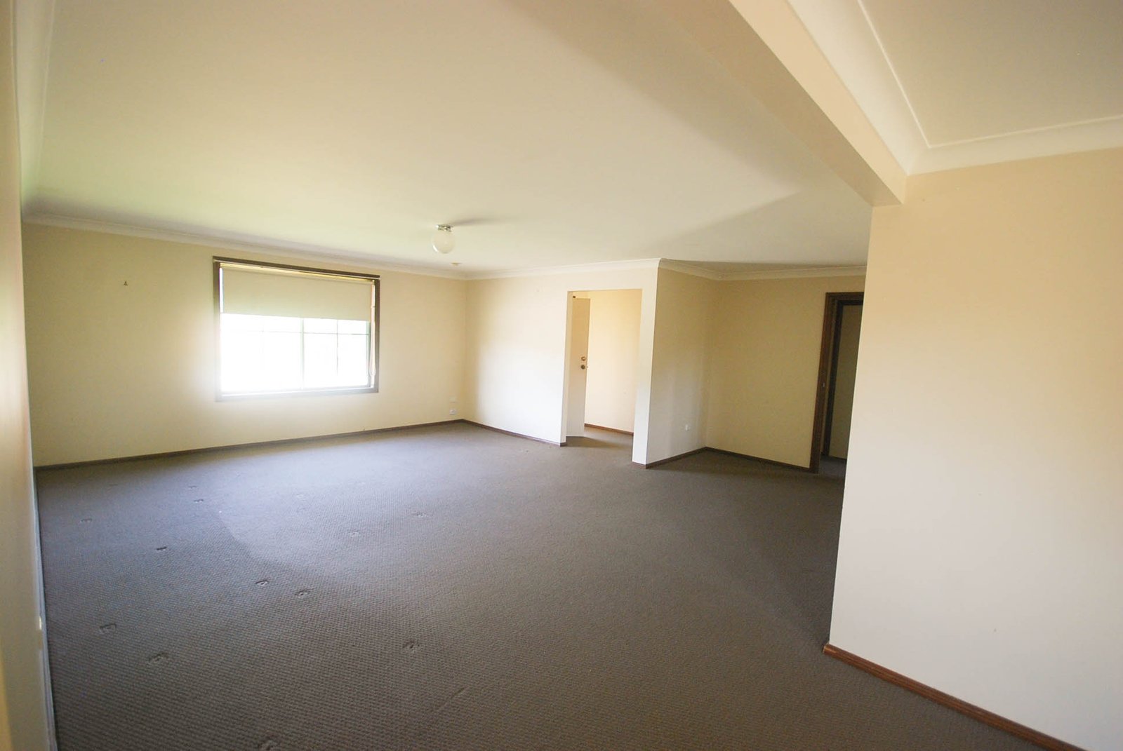 1/7 Travers Street WAGGA WAGGA 3