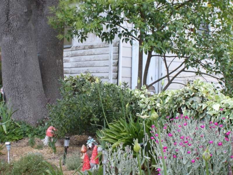 17 William Street TUMBARUMBA 20