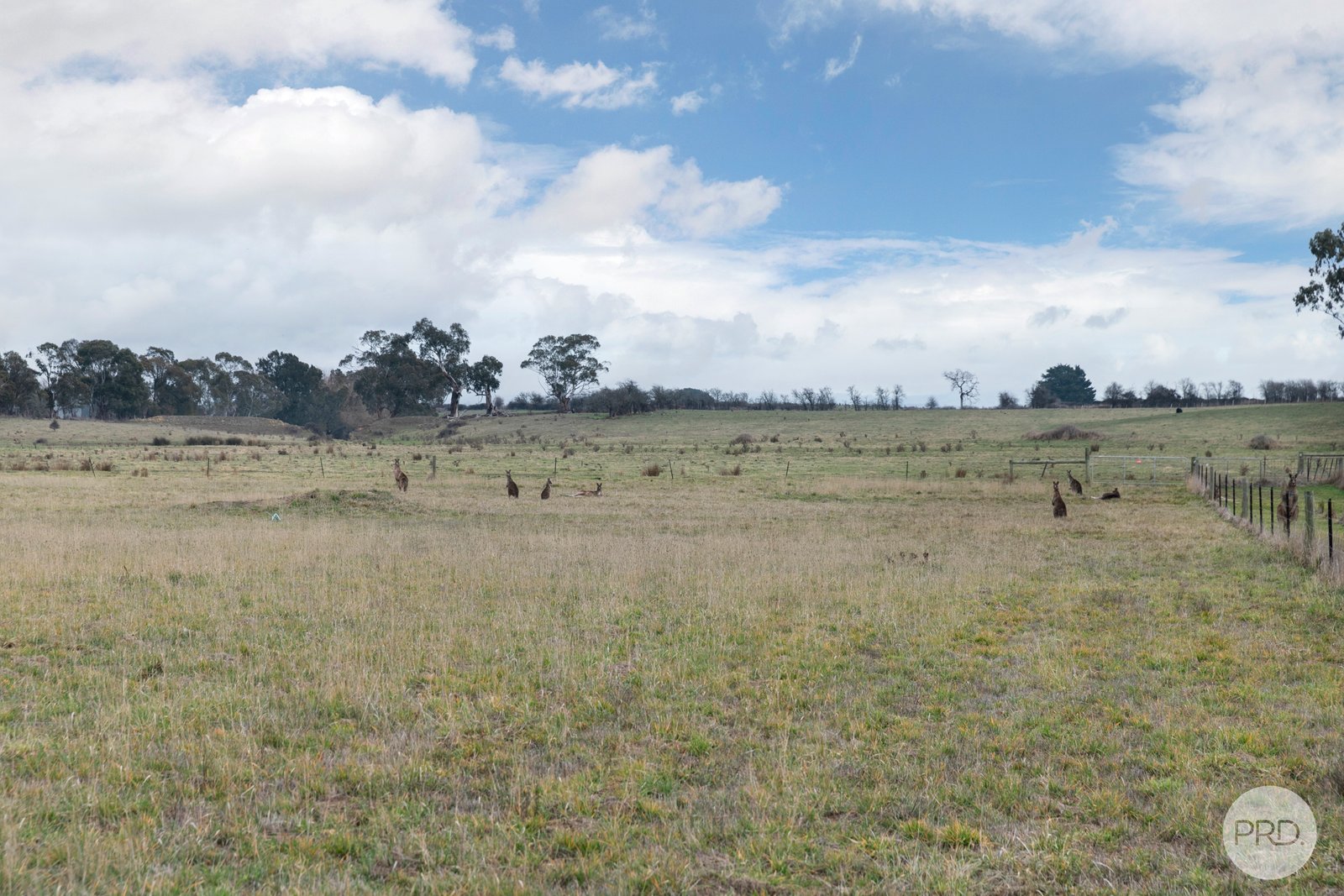 170 Buninyong-Mt Mercer Road BUNINYONG 5