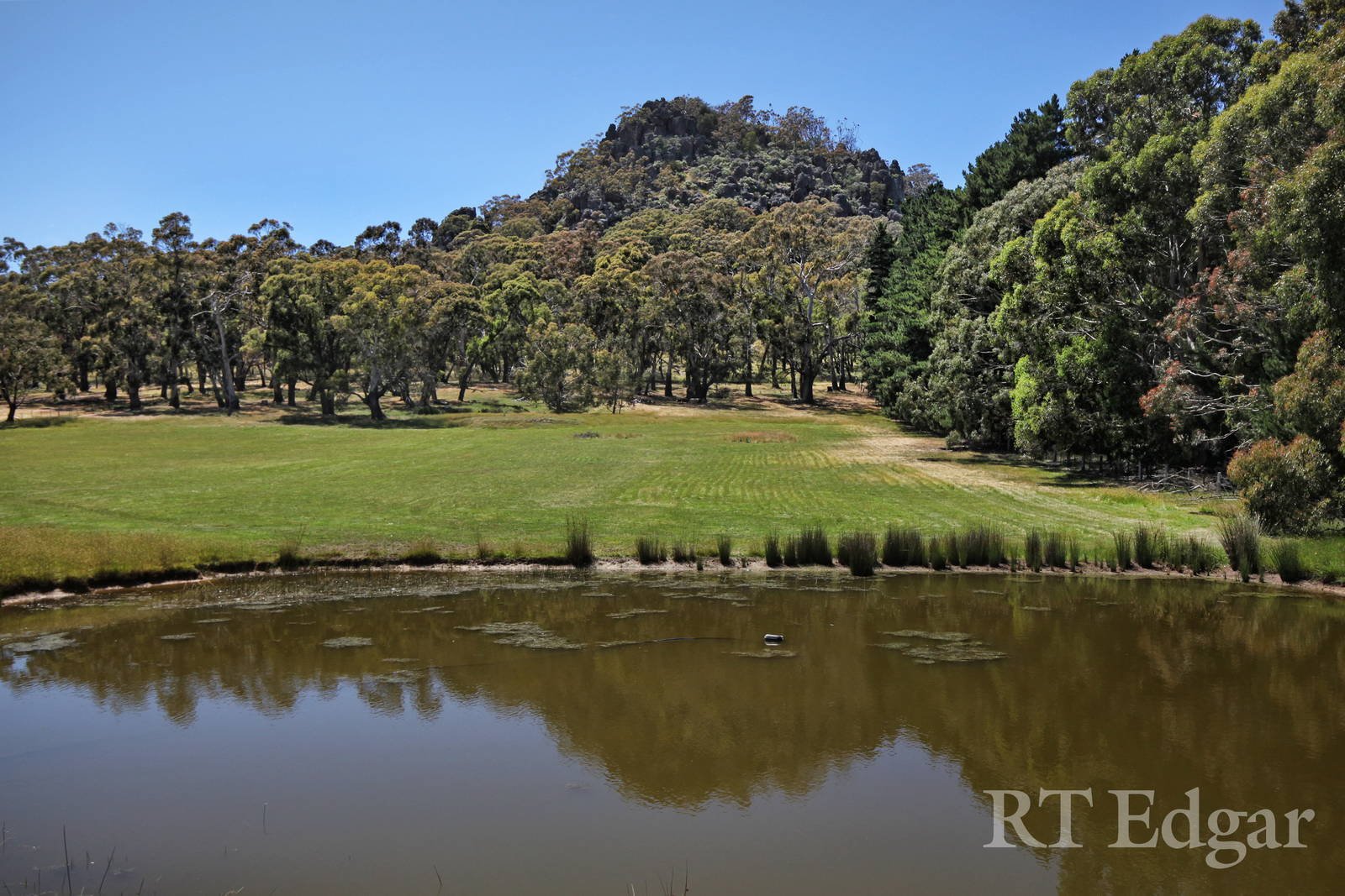 Real Estate and Property in 170 Coach Road, Newham, VIC