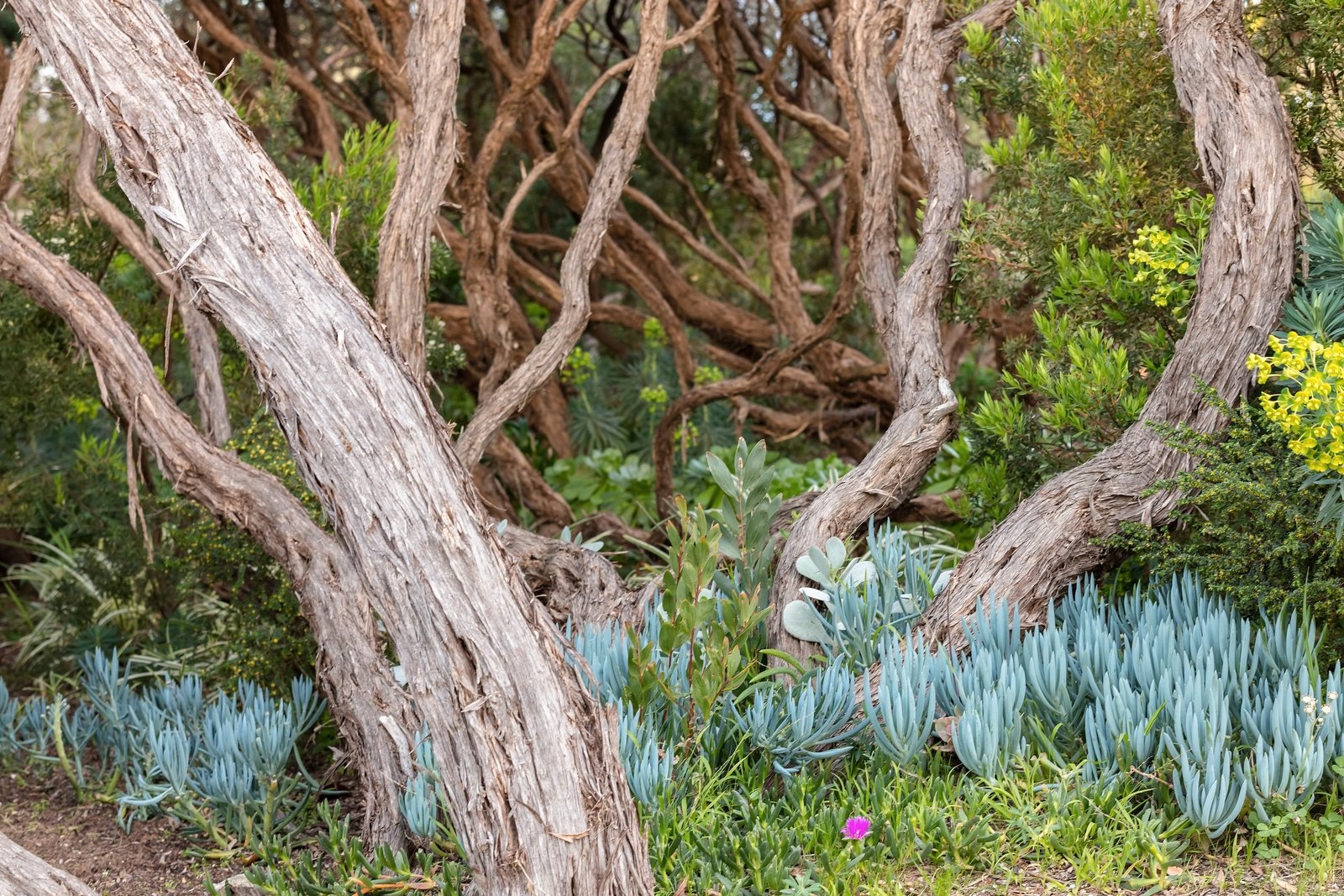 Real Estate and Property in 1/70 Stephens Parade, Barwon Heads, VIC