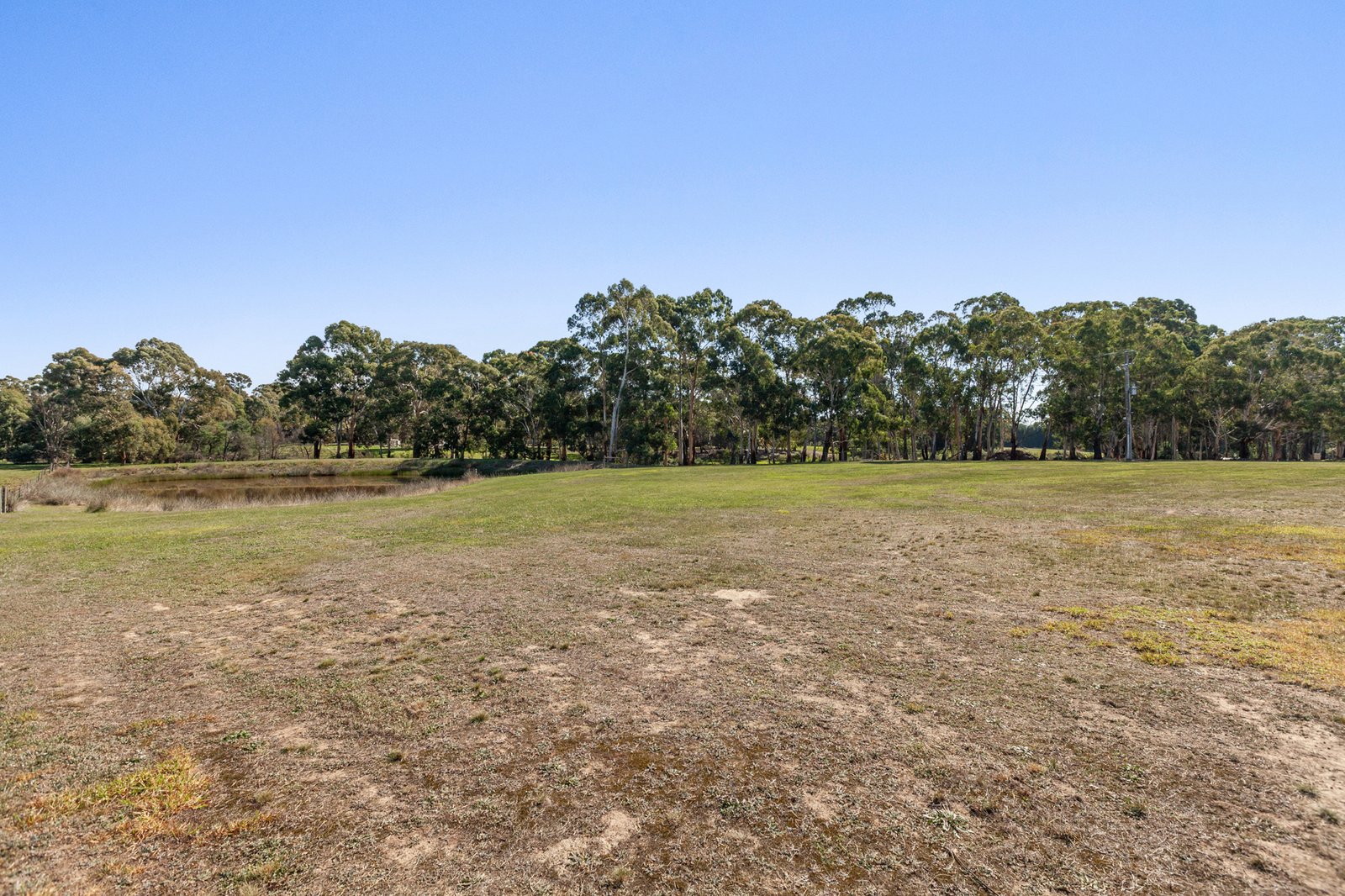 Gallery: 170 Wallis Road