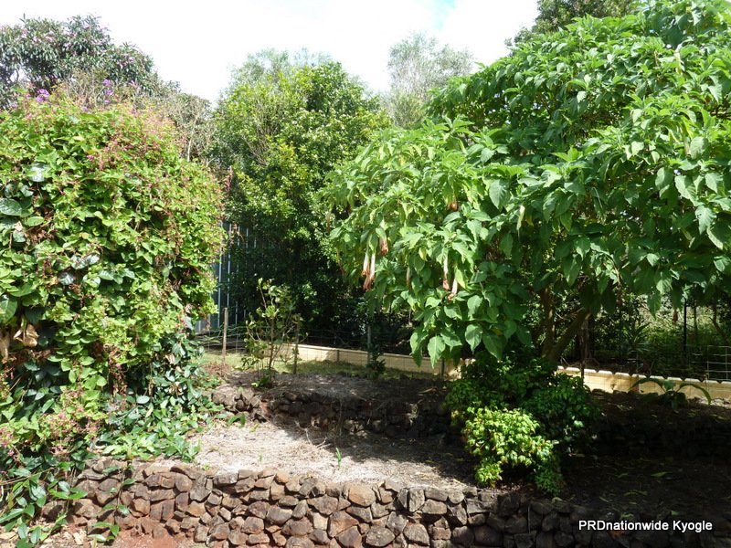 1706 Afterlee Road KYOGLE 15