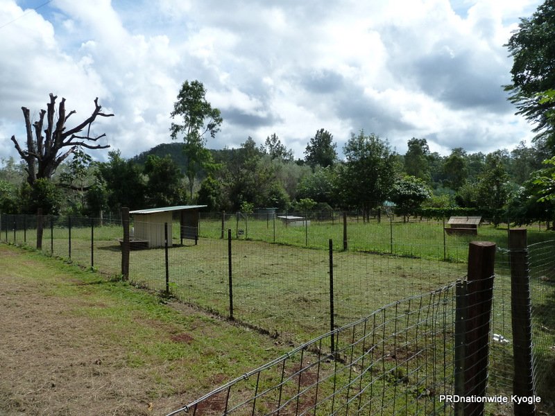 1706 Afterlee Road KYOGLE 16