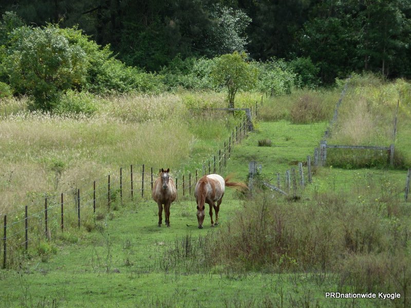 1706 Afterlee Road KYOGLE 18