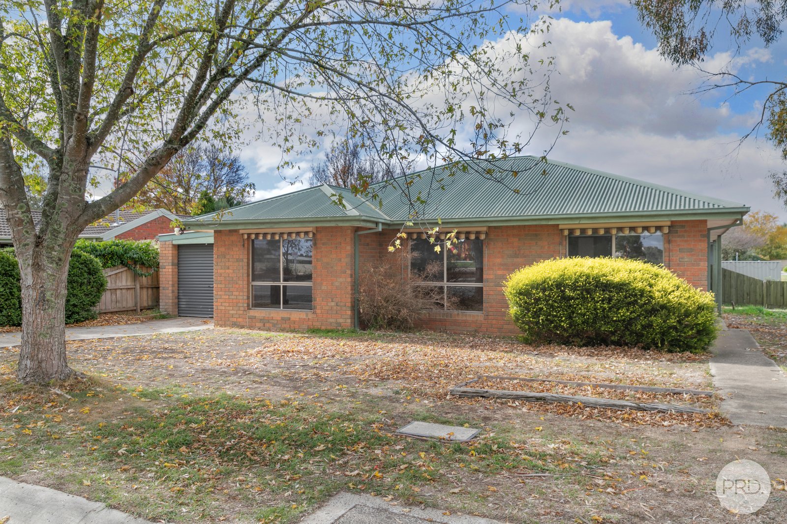 171 Grant Street SEBASTOPOL 1