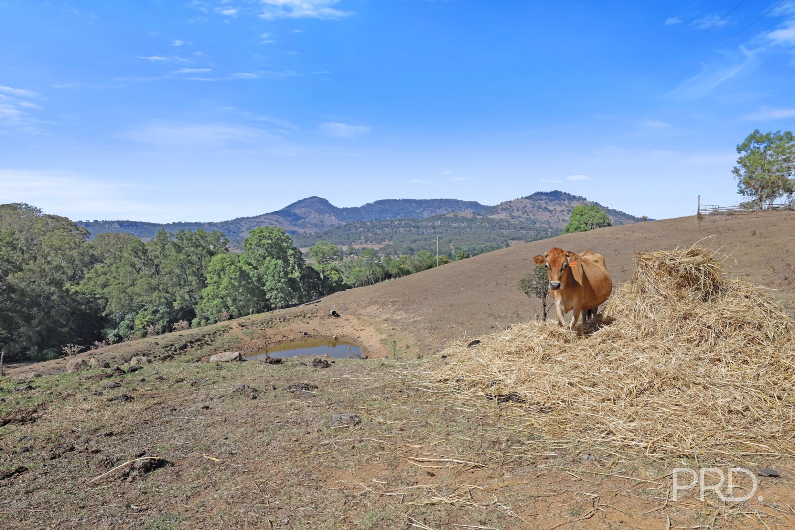 1/71 Wilson Row MURRURUNDI 2
