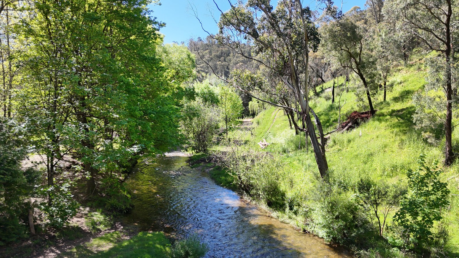 1711 Thowgla Road THOWGLA VALLEY 4