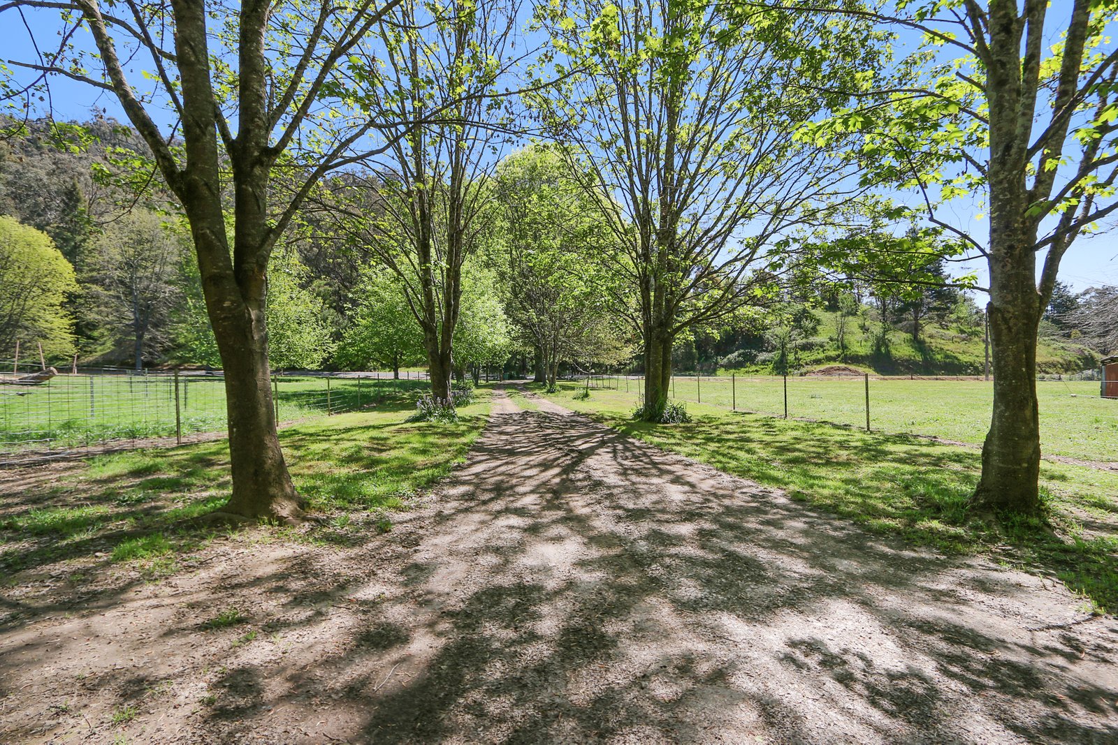 1711 Thowgla Road THOWGLA VALLEY 28