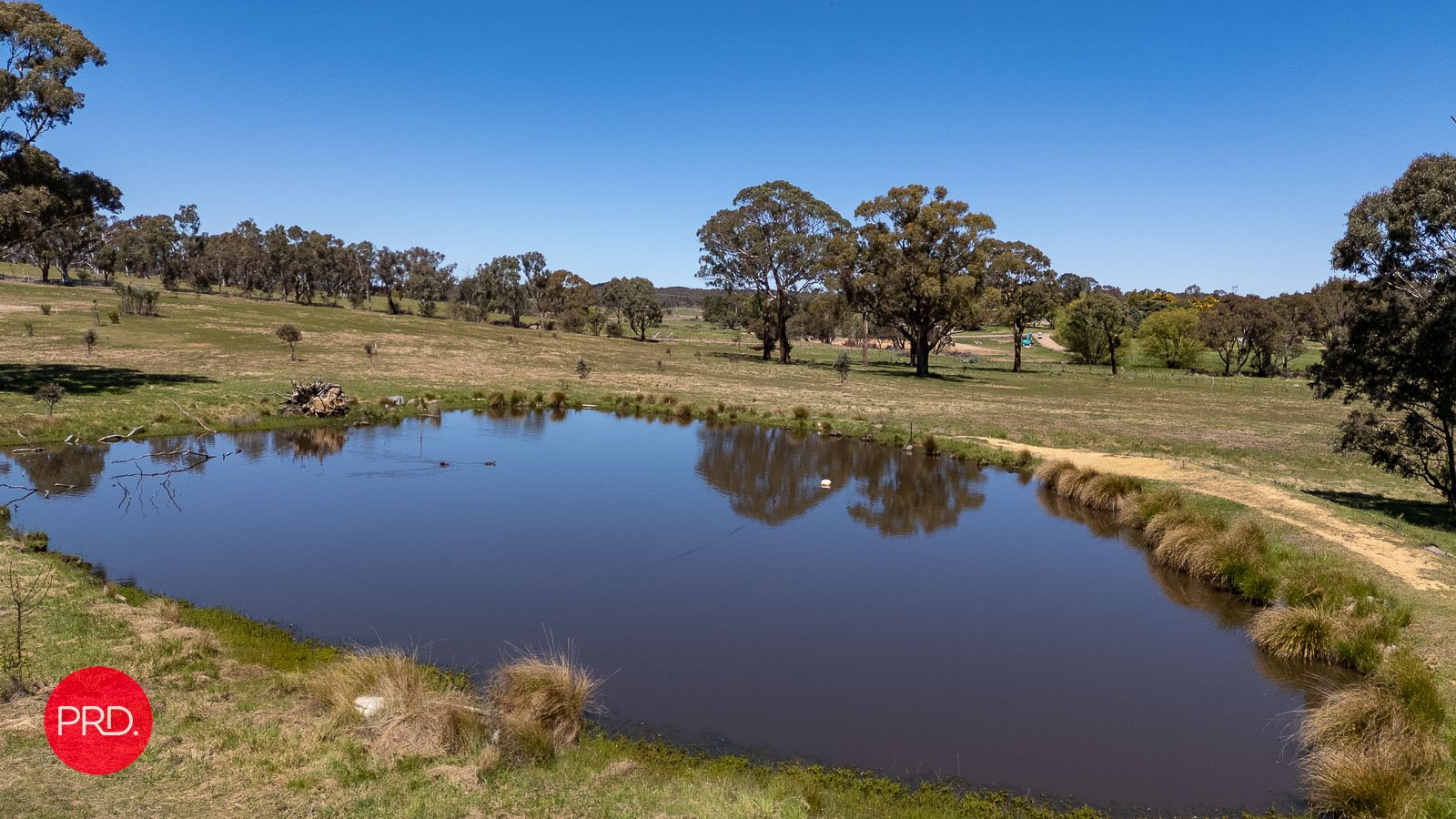 1713 Bungendore Road BYWONG 10