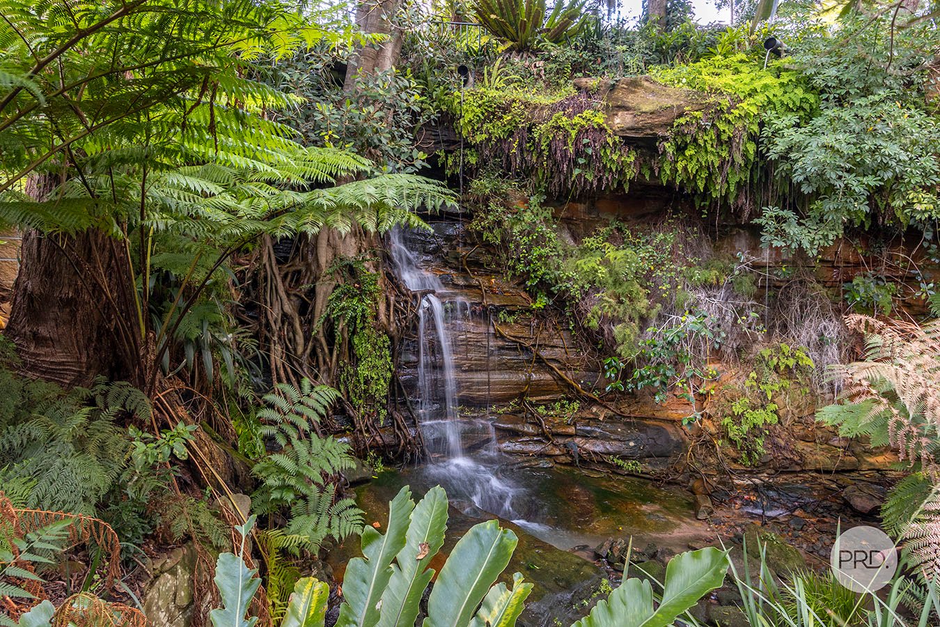 17/17 Binya Place COMO 10