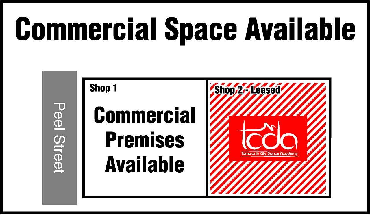 172 Peel Street TAMWORTH 1