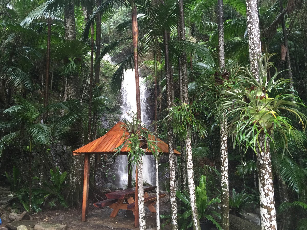 1728 - 1730 Currumbin Creek Road Currumbin Valley 3