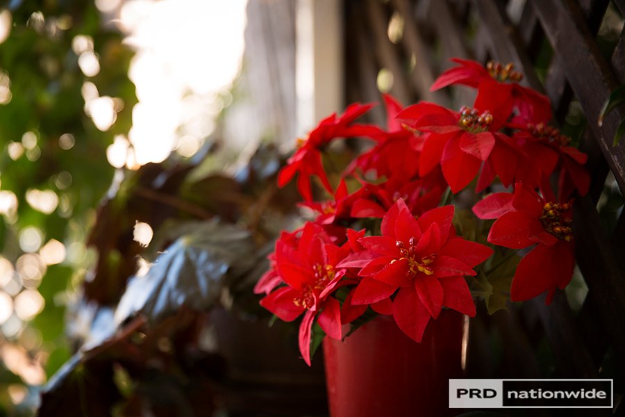 173 Brisbane Street TAMWORTH 17