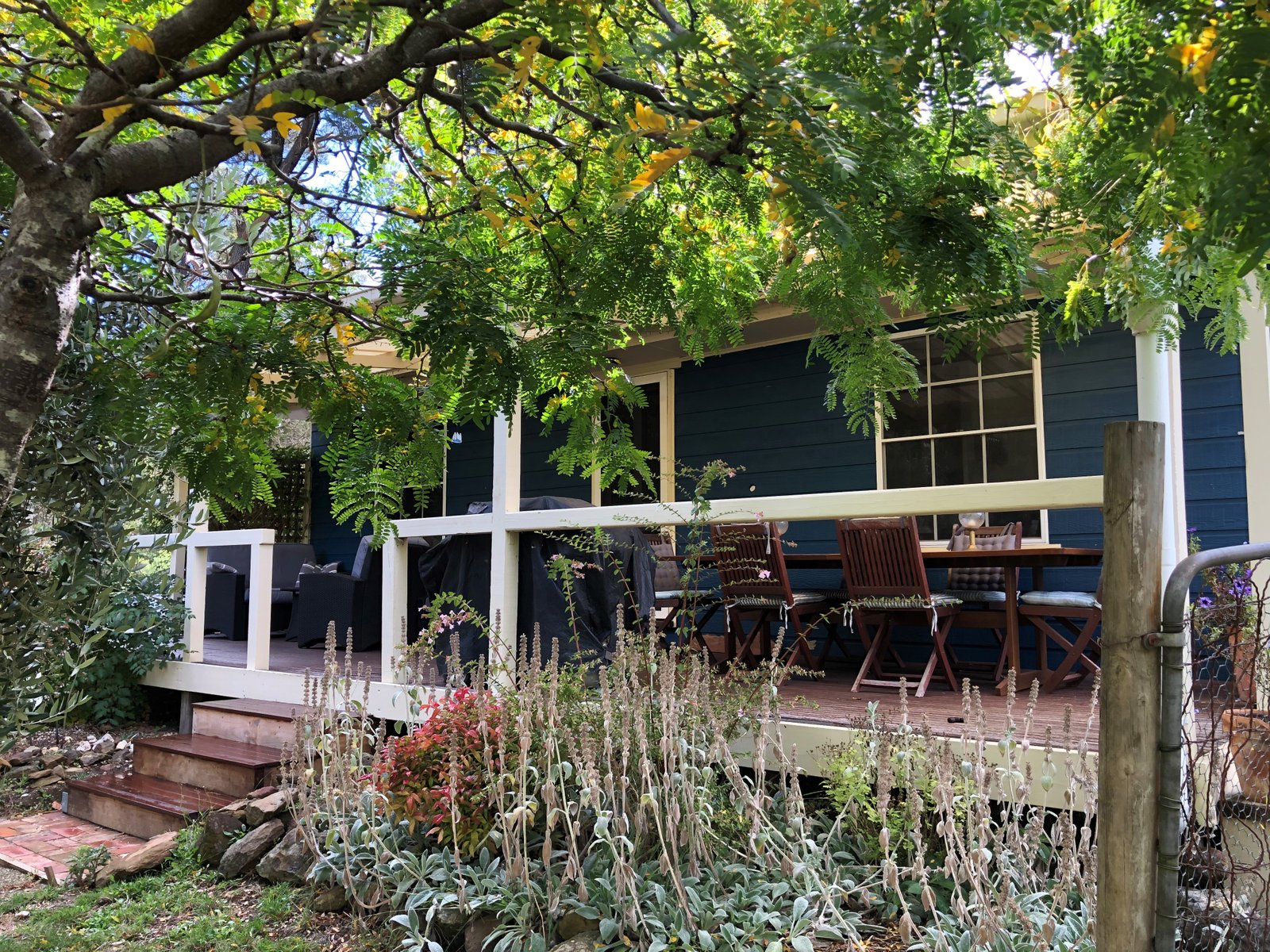 173 Petticoat Road CABBAGE TREE 1