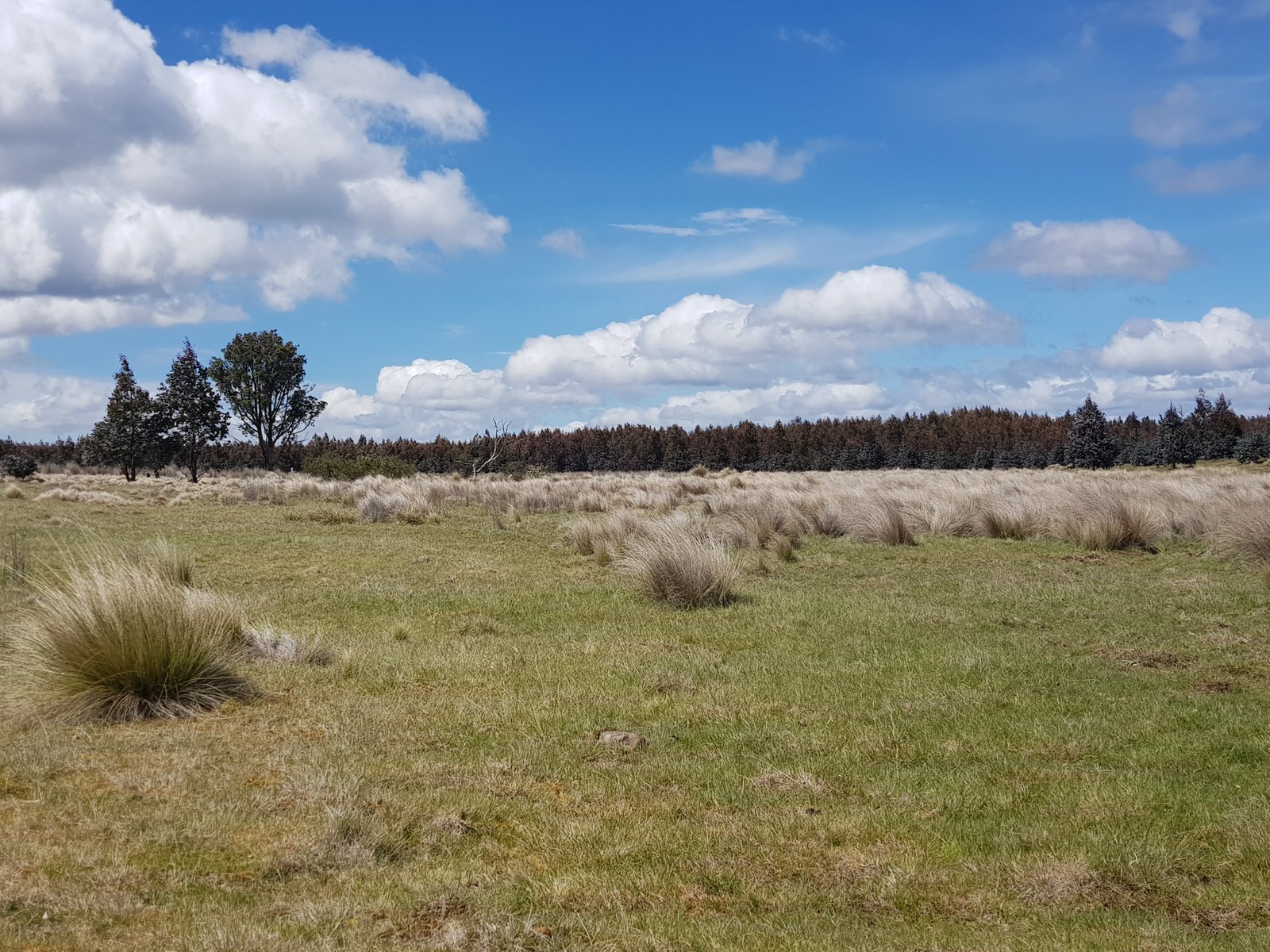 1734 Fourteen Mile Road BRONTE PARK 1