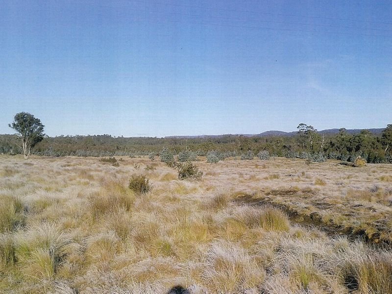 1734 Fourteen Mile Road BRONTE PARK 2