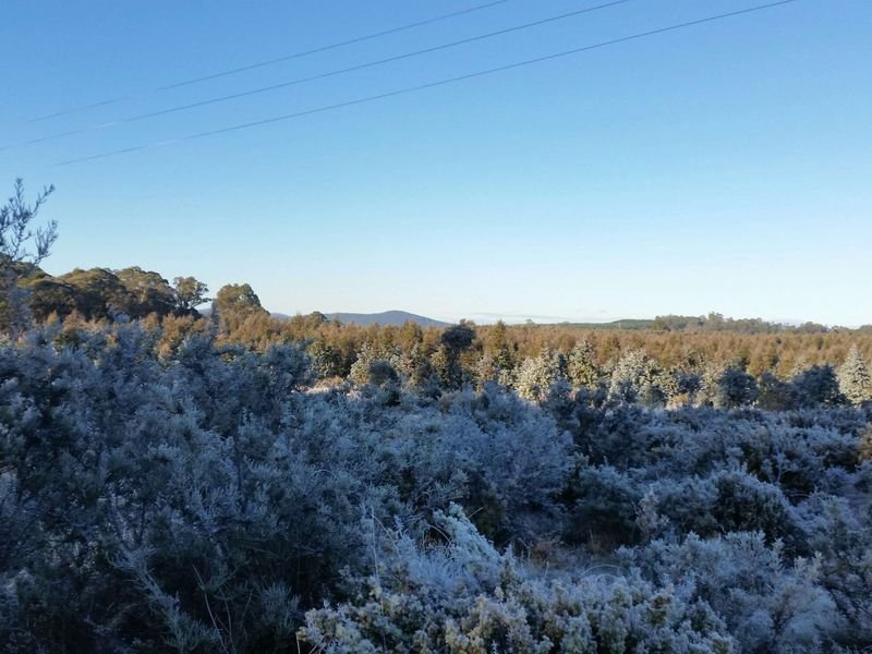 1734 Fourteen Mile Road BRONTE PARK 3