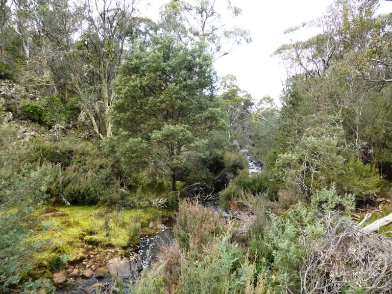 1734 Fourteen Mile Road BRONTE PARK 4