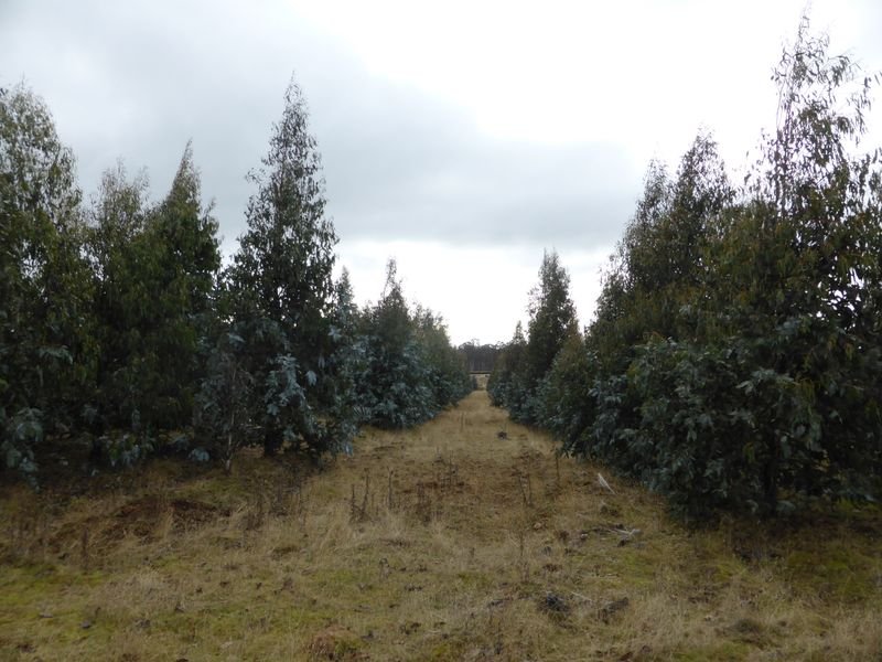 1734 Fourteen Mile Road BRONTE PARK 11