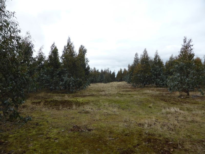 1734 Fourteen Mile Road BRONTE PARK 12