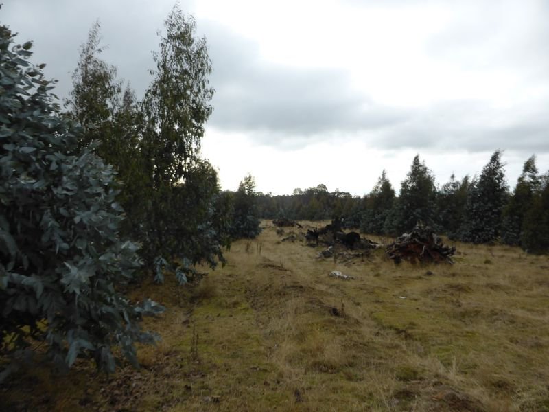 1734 Fourteen Mile Road BRONTE PARK 13