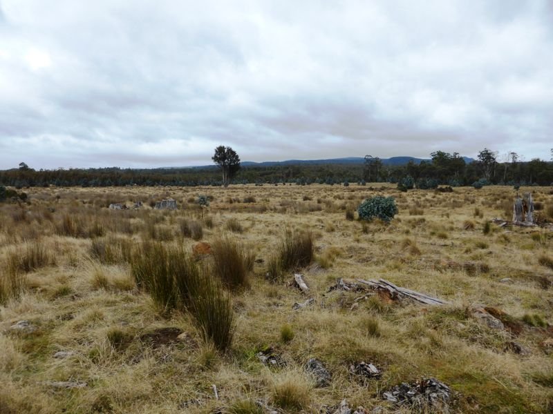 1734 Fourteen Mile Road BRONTE PARK 14