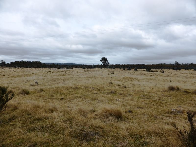 1734 Fourteen Mile Road BRONTE PARK 15