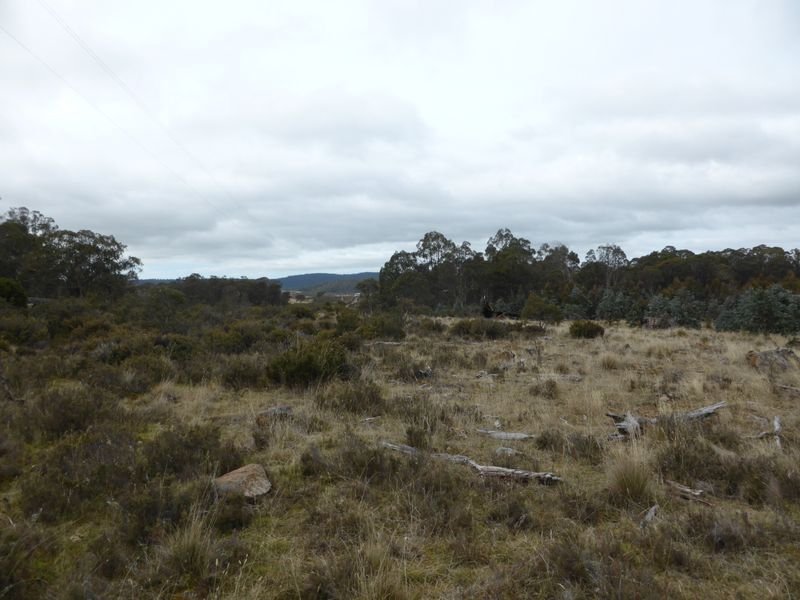 1734 Fourteen Mile Road BRONTE PARK 16