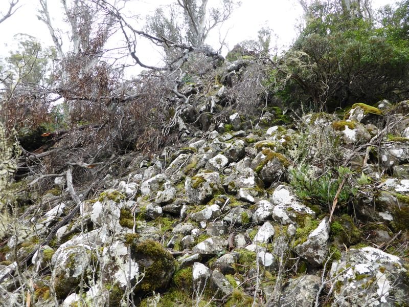 1734 Fourteen Mile Road BRONTE PARK 17