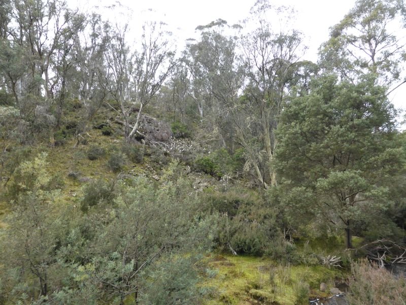 1734 Fourteen Mile Road BRONTE PARK 18