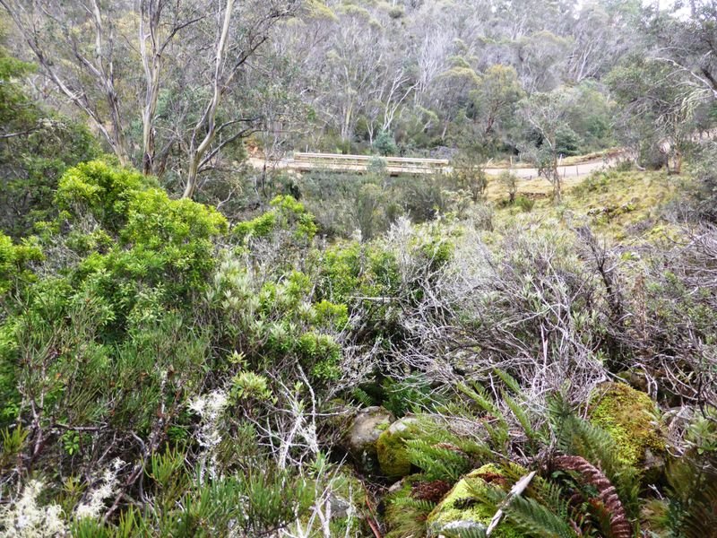 1734 Fourteen Mile Road BRONTE PARK 20